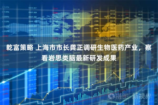 乾富策略 上海市市长龚正调研生物医药产业，察看岩思类脑最新研发成果