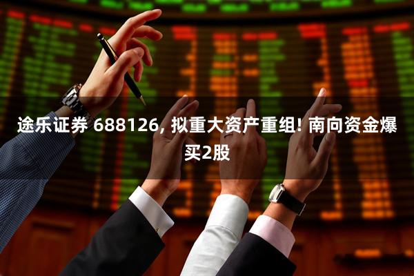 途乐证券 688126, 拟重大资产重组! 南向资金爆买2股