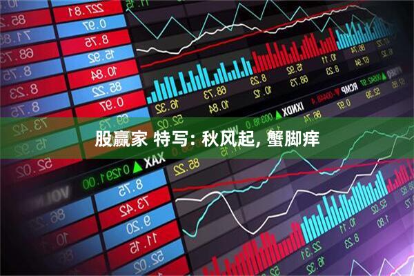 股赢家 特写: 秋风起, 蟹脚痒