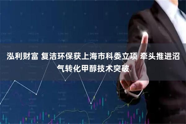 泓利财富 复洁环保获上海市科委立项 牵头推进沼气转化甲醇技术突破