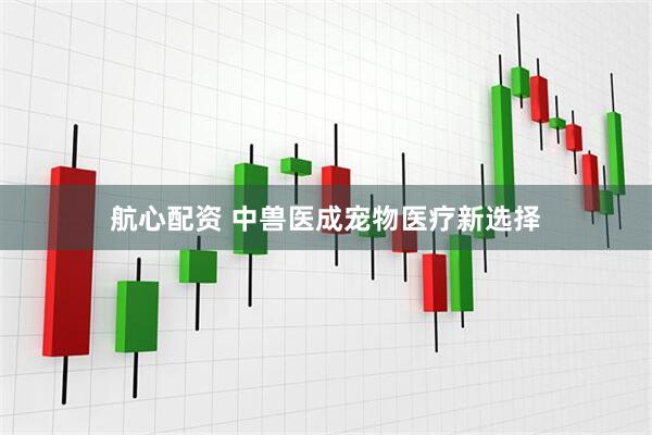航心配资 中兽医成宠物医疗新选择